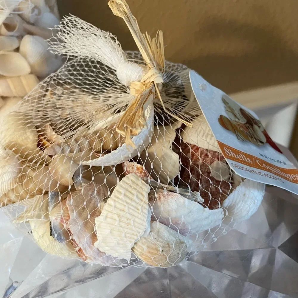 Seashell Lot - Picture 5 of 13